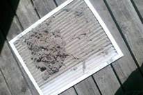 Old, blocked HVAC filter